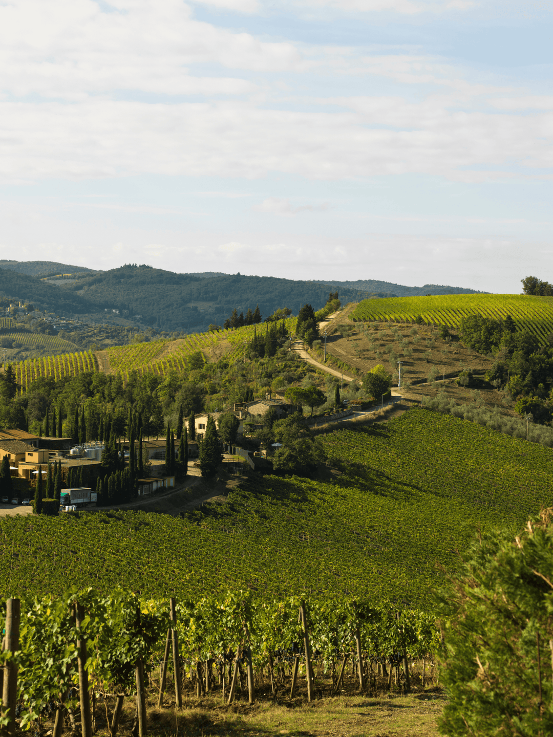 Aria Wine Club Series - Central Italy - Tuscany Wine Dinner