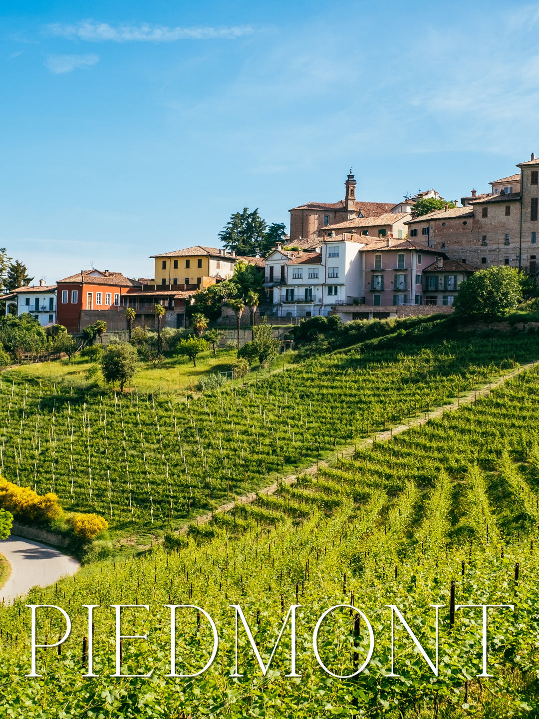 Aria Wine Club Series - Northern Italy - Piedmont Wine Menu